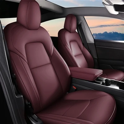 Jaunieša pirmā automašīna var būt Tesla